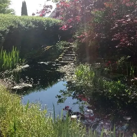 Ruhige Im Hunsrueck * Hungenroth